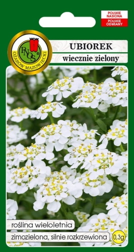 Nasiona PNOS - nasiona kwiatów - UBIOREK WIECZNIE ZIELONY BIAŁY 0,3g