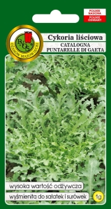 CYKORIA LIŚCIOWA CATALOGNA PUNTARELLE DI GAETA 1g
