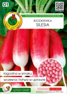 Rzodkiewka Silesia 200z OT.