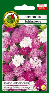 Ubiorek BALDASZKOWY mieszany 1g