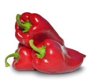 Papryka Navigator F1