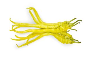 Papryka Csipős spiral F1