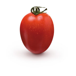 Pomidor Byelsa F1