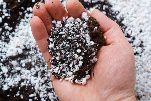 Agroperlit wymieszany z podłożem