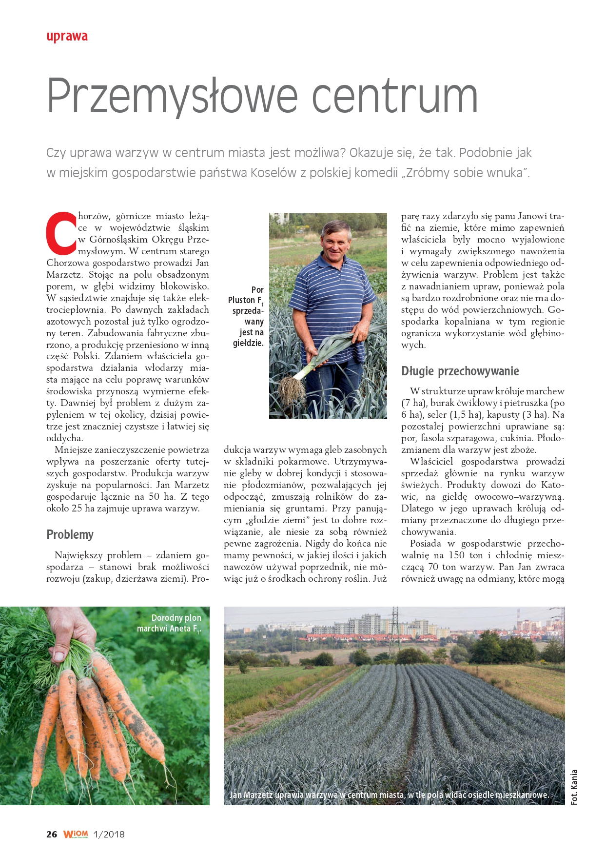 Uprawa nasion warzyw Moravoseed